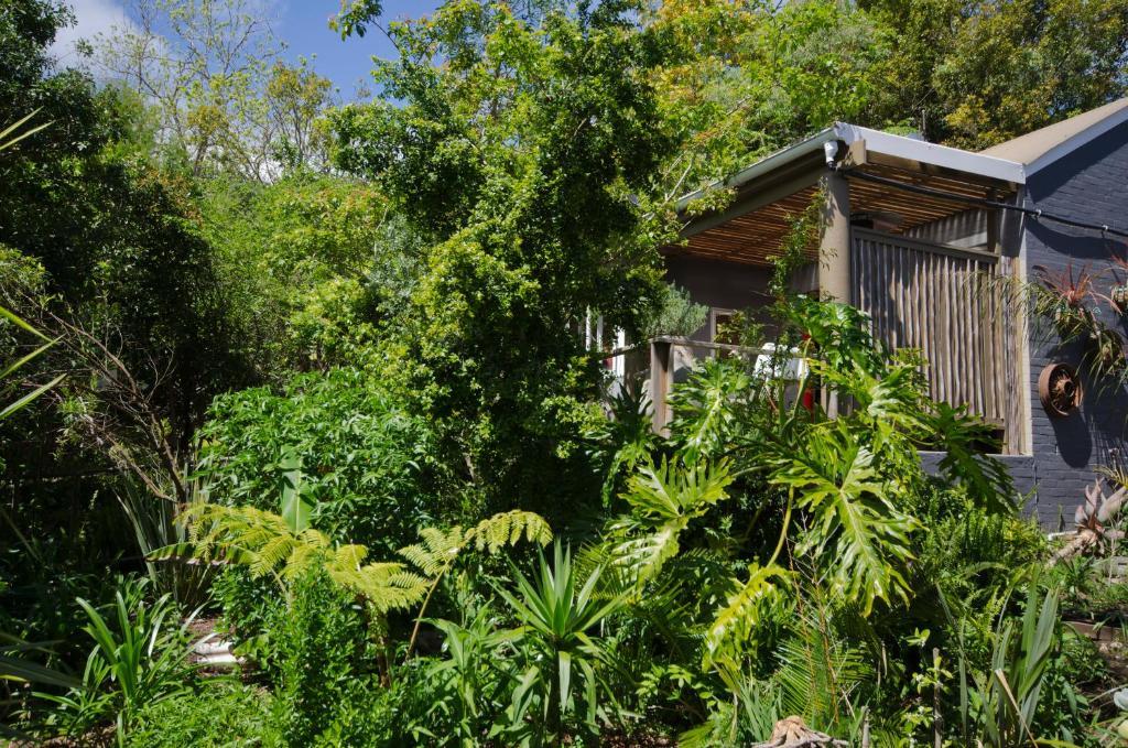 The Bamboo Lodge In Knysna Книсна Екстериор снимка