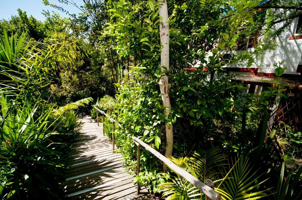 The Bamboo Lodge In Knysna Книсна Екстериор снимка